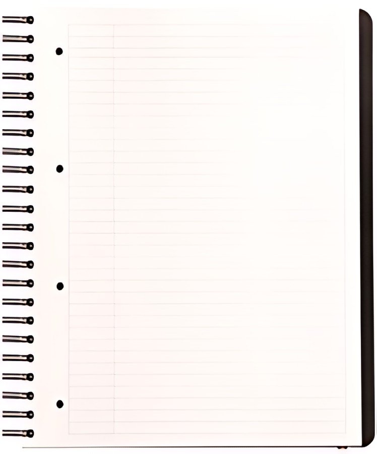 RHODIA Cahier à spirale "Pro Book", A4+, ligné, noir