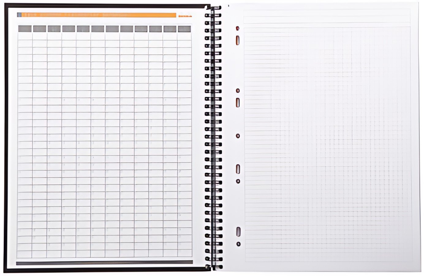 RHODIA Cahier à spirale "Note Book", A4+, quadrillé 5x5,noir