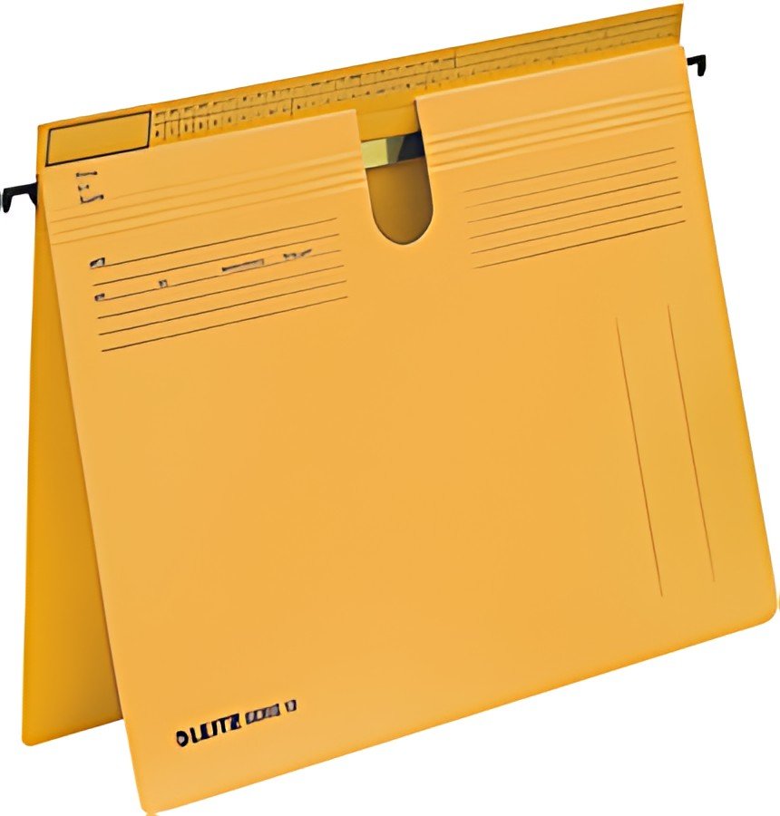 LEITZ dossiers suspendus SERIE 18, carton manille 250 g/m2,