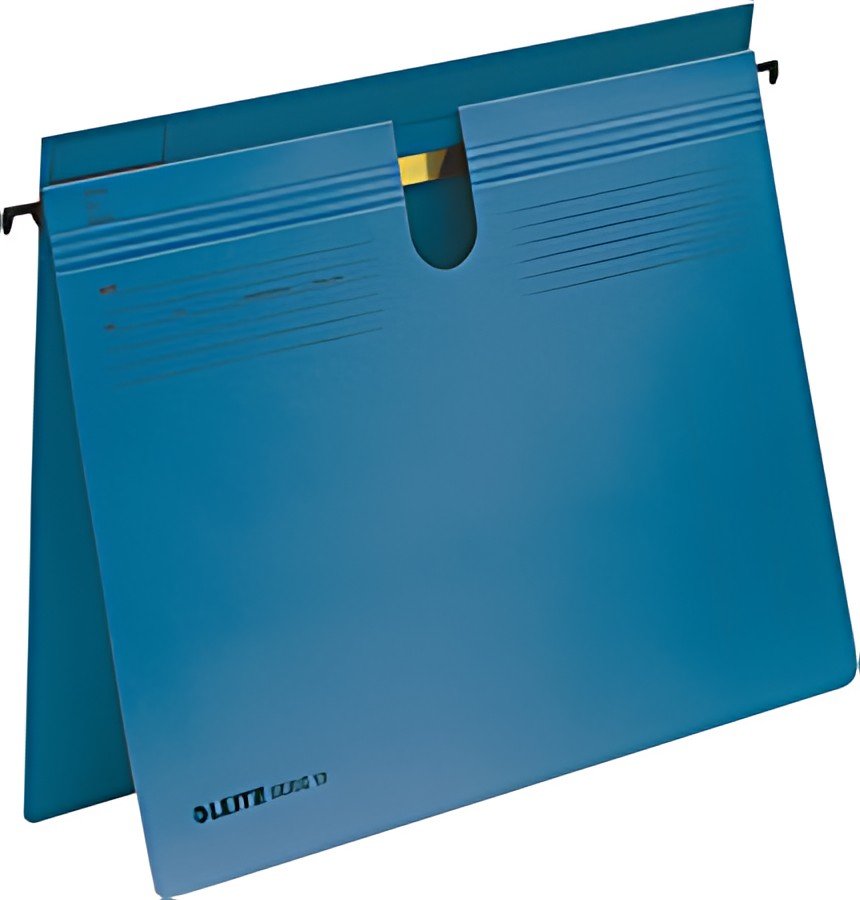 LEITZ dossiers suspendus SERIE 18,carton de manille 250 g/m2