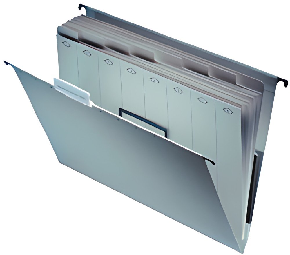 LEITZ Intercalaires pour dossier suspendu Universal 1881