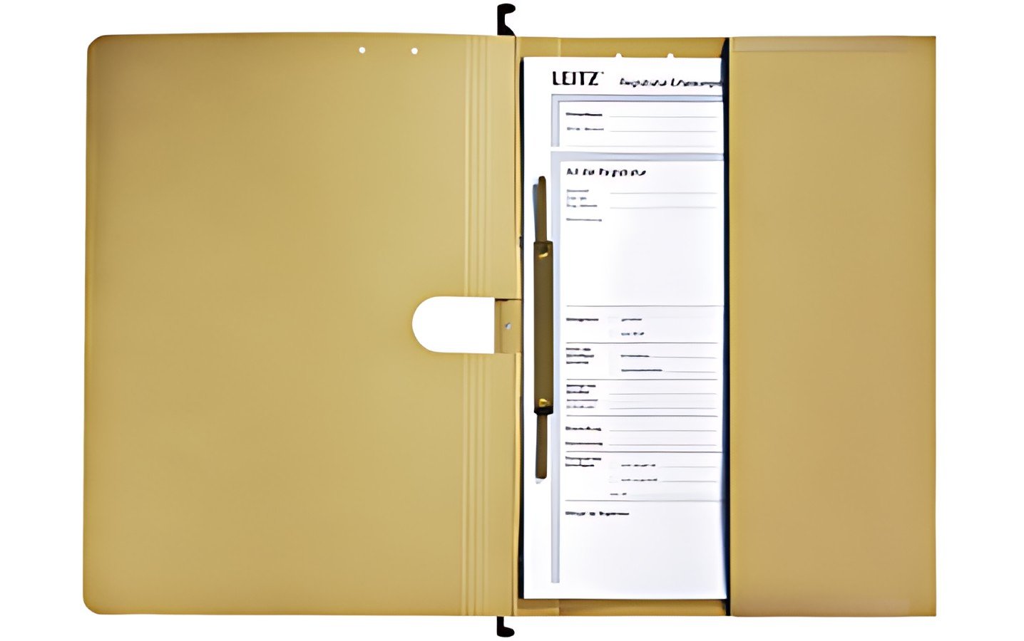 LEITZ Dossiers suspendus ALPHA, A4, reliure commerciale,