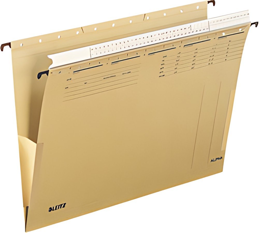 LEITZ ALPHA Dossier suspendu, A4, avec glissière, soude