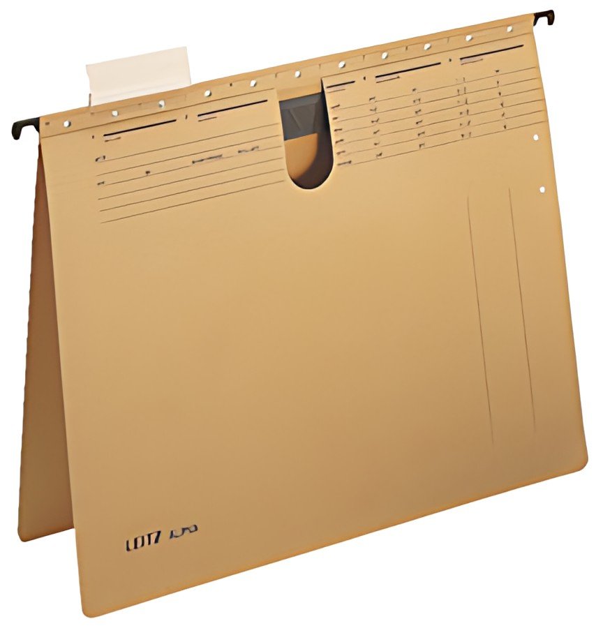 LEITZ Dossiers suspendus ALPHA, A4, perforation tuyau