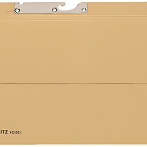 LEITZ Dossier suspendu, avec pochette, format A4, soude