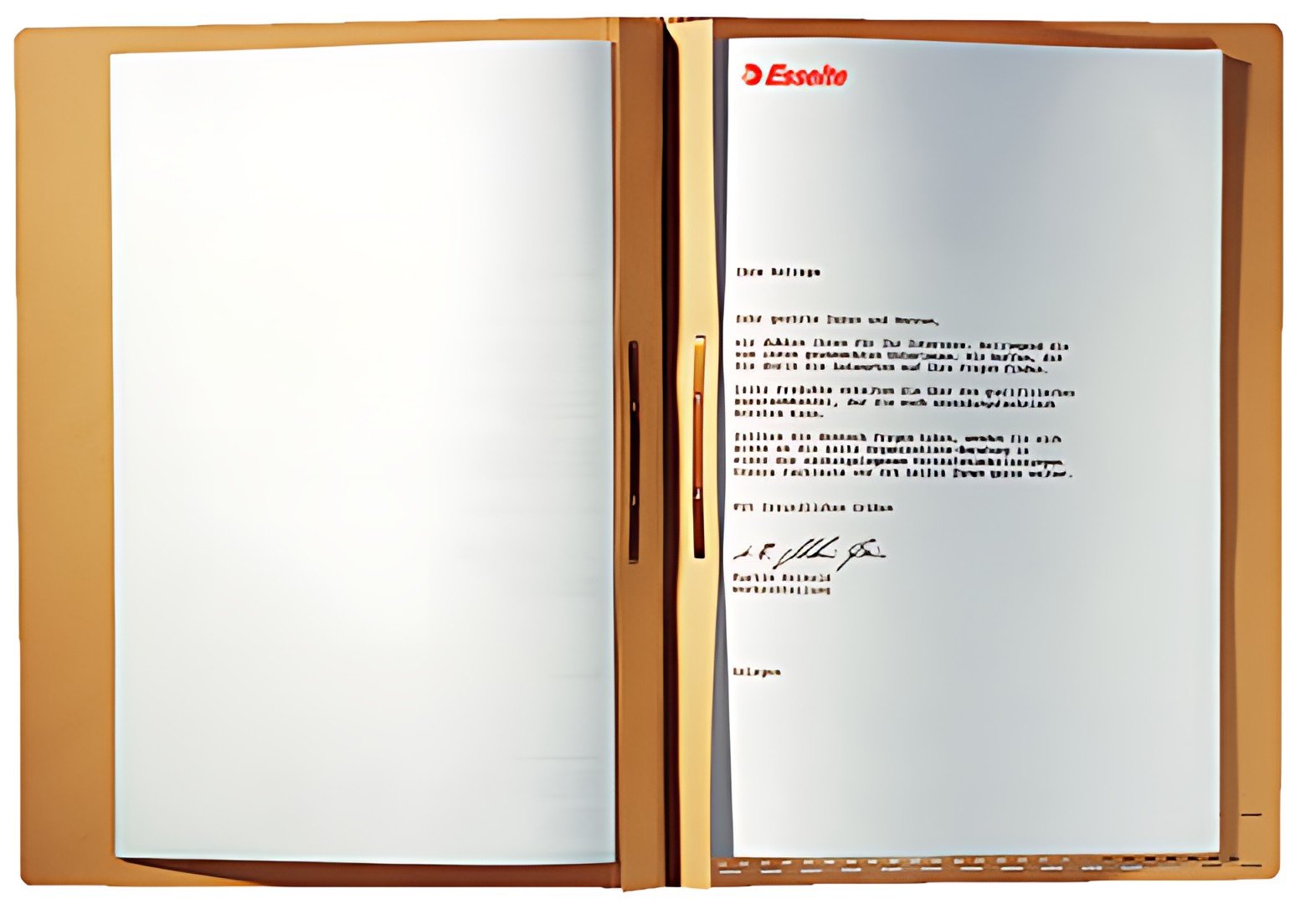 LEITZ dossier suspendu avec fixe-documents, A4, soude