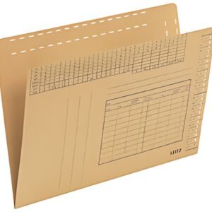 LEITZ Sous-dossier, vertical, A4, natron,