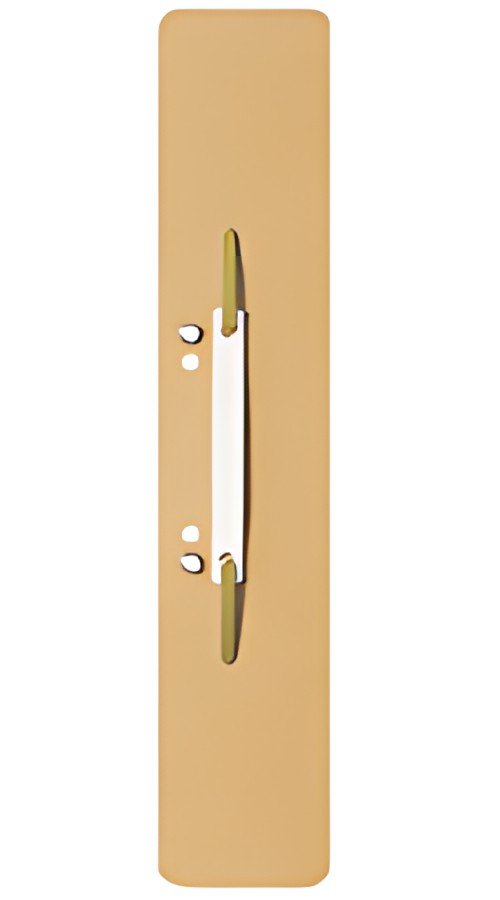 LEITZ Relieur à lamelle, 60 x 305 mm, chamois