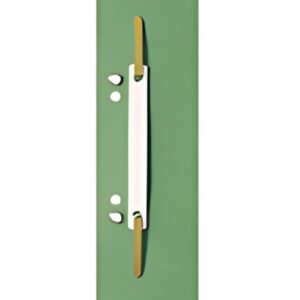 LEITZ Relieur à lamelle, 60 x 305 mm, vert