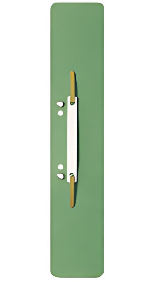 LEITZ Relieur à lamelle, 60 x 305 mm, vert