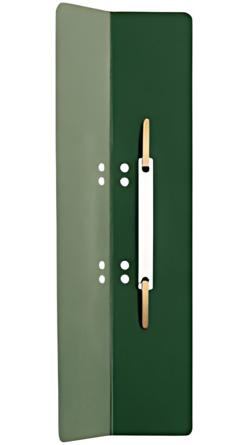 LEITZ Fixe-documents, 60 x 305 mm, carton manille, vert