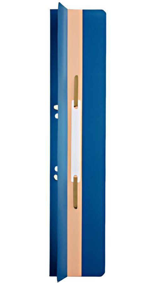 LEITZ Fixe-documents, 65 x 305 mm, carton manille, bleu