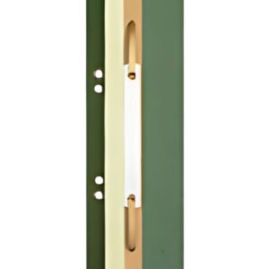 LEITZ Fixe-documents, 65 x 305 mm, carton manille, vert,