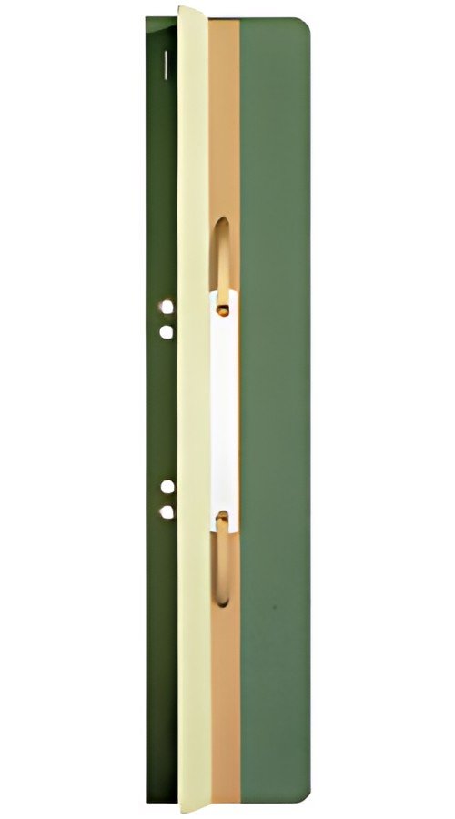 LEITZ Fixe-documents, 65 x 305 mm, carton manille, vert,