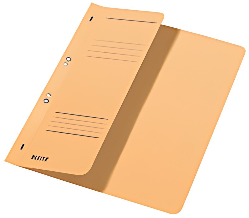 LEITZ Chemise à oeillets, carton manille, A4, chamois