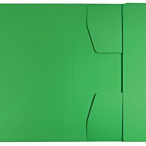 LEITZ Chemise-trieur, A4, carton de 430 g/m2, vert