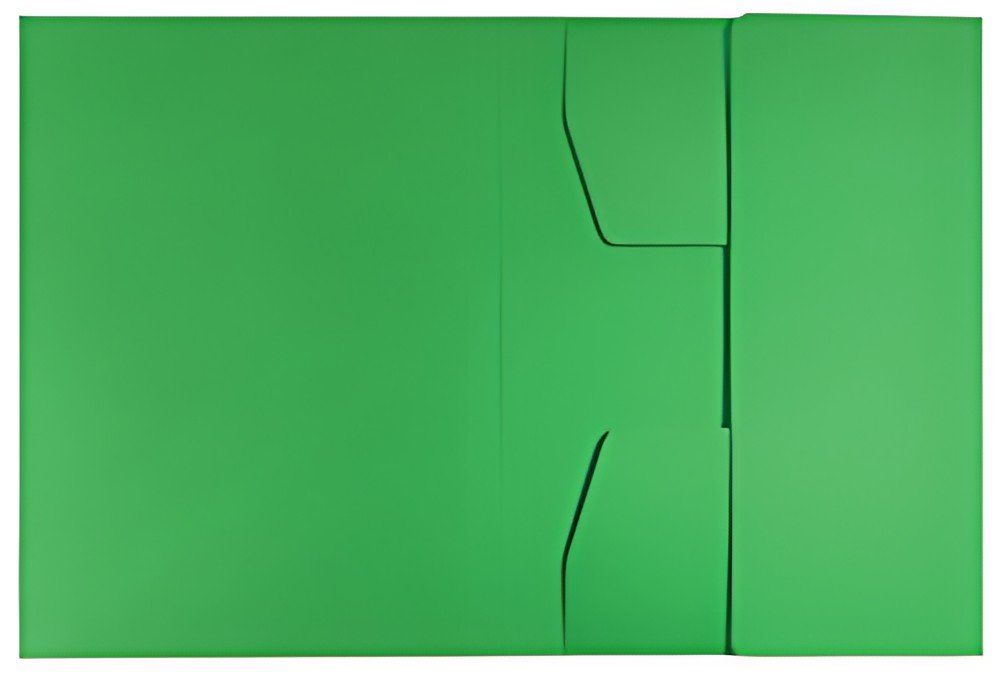 LEITZ Chemise-trieur, A4, carton de 430 g/m2, vert