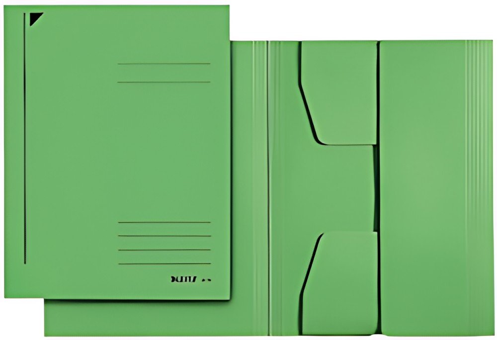 LEITZ chemise-trieur, format A3, carton 320 g/m2, vert