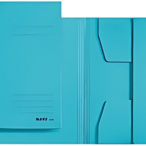 LEITZ chemise-trieur, format A4, carton robuste coloré 430