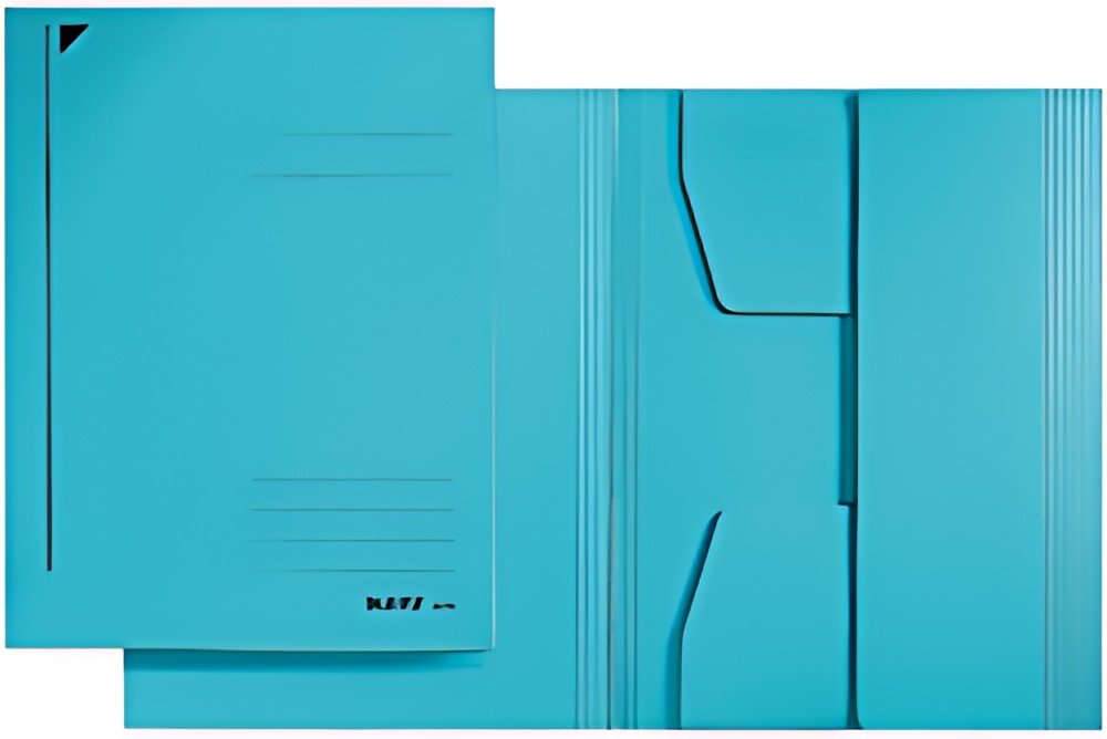 LEITZ chemise-trieur, format A4, carton robuste coloré 430