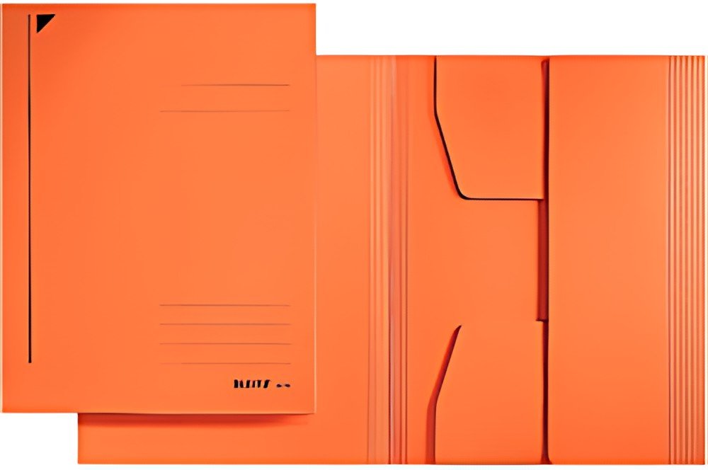 LEITZ chemise-trieur, format A4, carton robuste coloré 430