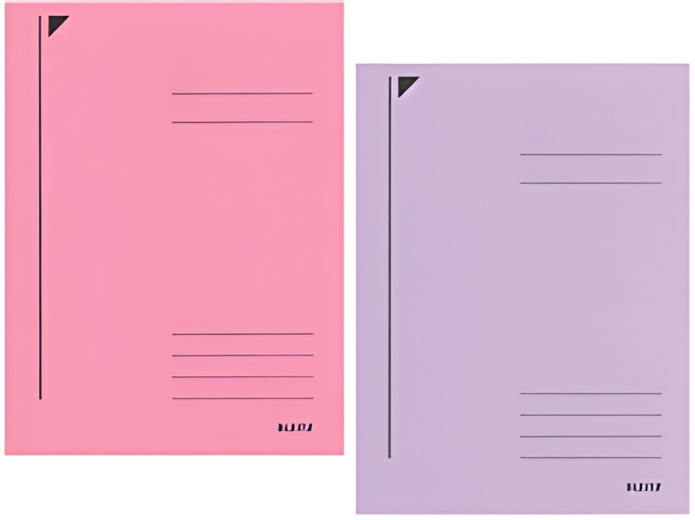 LEITZ chemise-trieur, format A4, carton robuste coloré 430