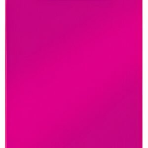 LEITZ Porte-bloc WOW, A4, en polystyrène, rose vif