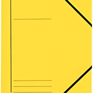 LEITZ Chemise à élastique, format A4, carton, jaune