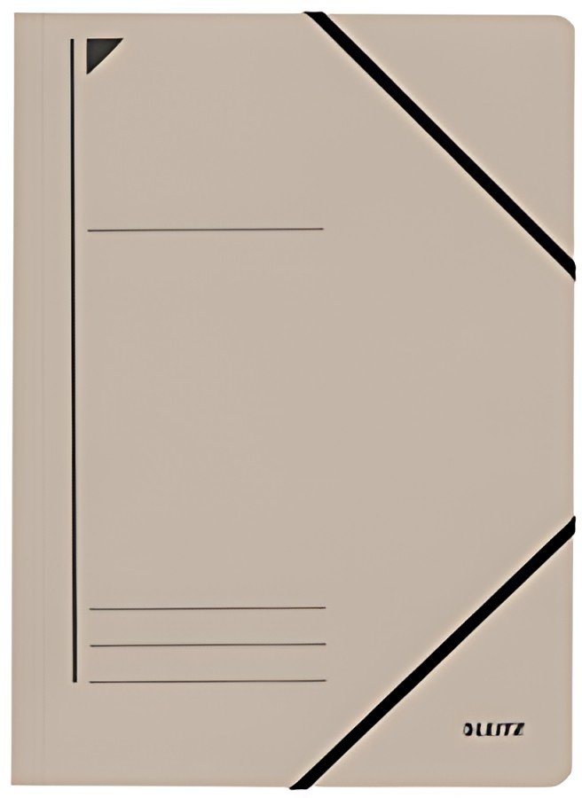 LEITZ Chemise à élastique, format A4, carton, gris