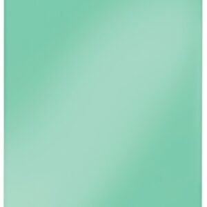 LEITZ Pochette Super Premium, A4, PVC, 0,15 mm, vert