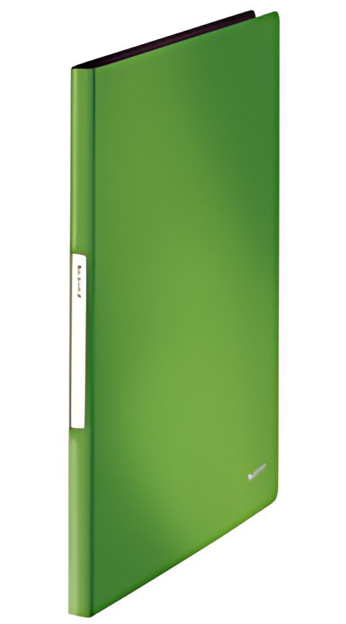 LEITZ Protège-documents Solid, A4, PP, 20 pochettes, vert