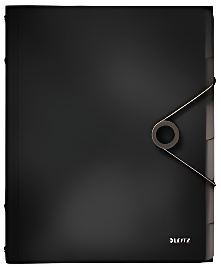 LEITZ Trieur Solid, A4, pp, 12 compartiments, noir