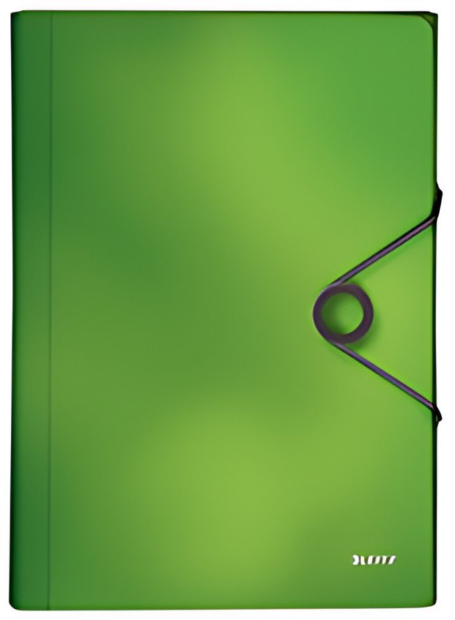 LEITZ Trieur ménager Solid, A4, PP, 6 compartiments, vert