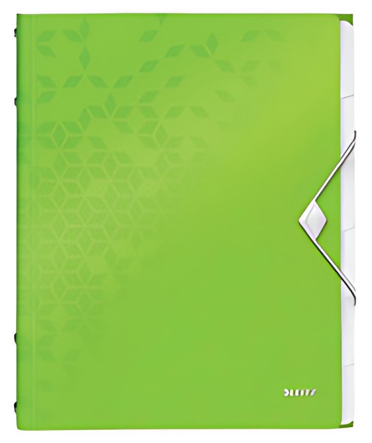 LEITZ Chemise de rangement WOW, A4, PP, vert métallisé