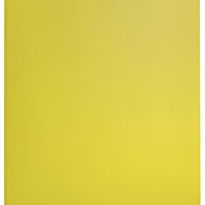 LEITZ Protège-documents Recycle, A4, PP, 20 pochettes, jaune
