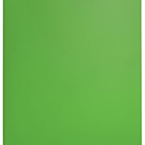LEITZ Protège-documents Recycle, A4, PP, 40 pochettes, vert