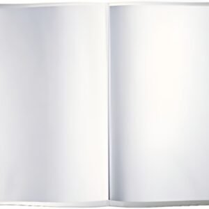 LEITZ Pochette perforée, A3 paysage, PP, grainé, 0,12 mm