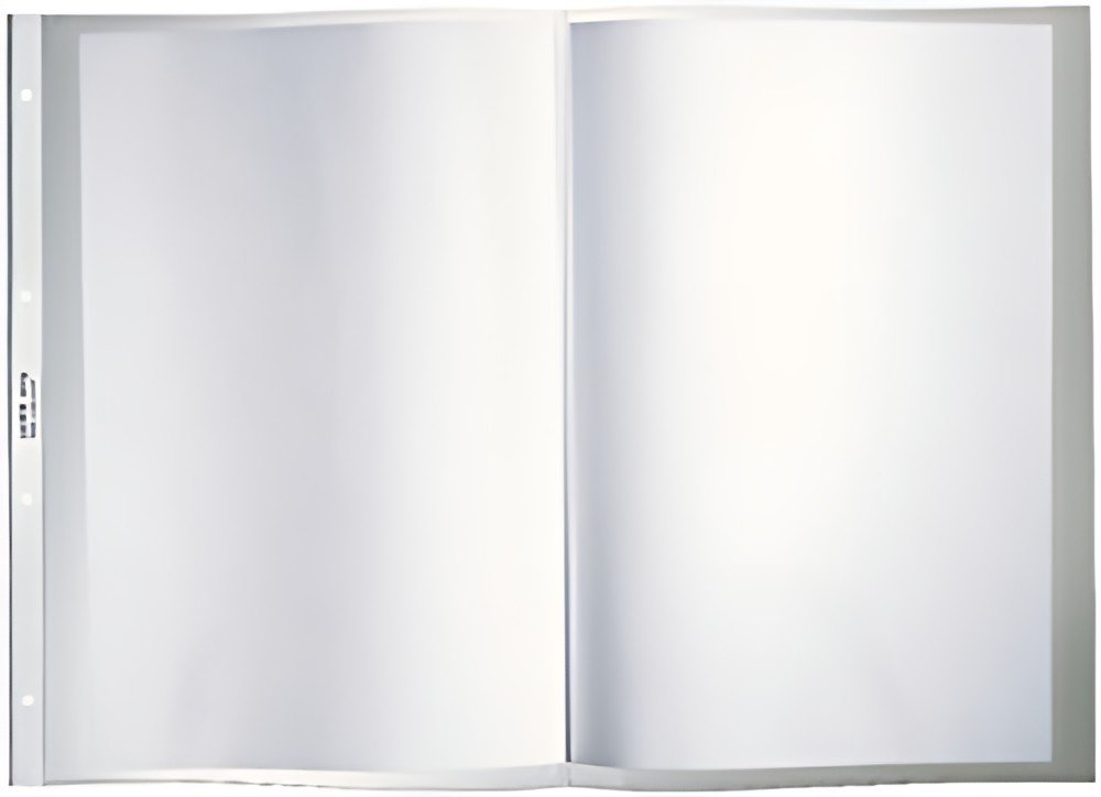 LEITZ Pochette perforée, A3 paysage, PP, grainé, 0,12 mm