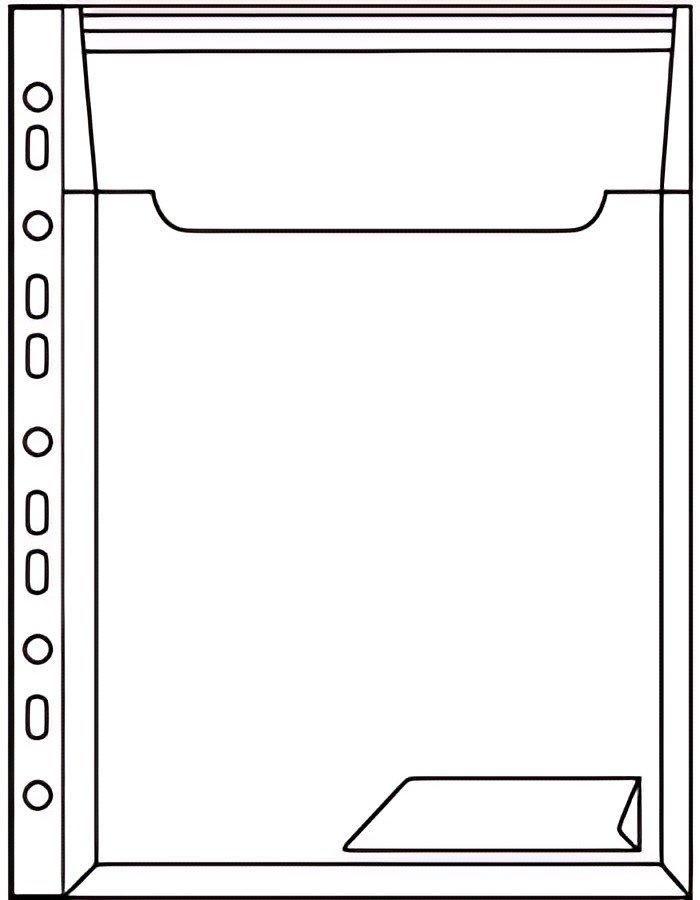 LEITZ pochette perforée / porte-document CombiFile Maxi,