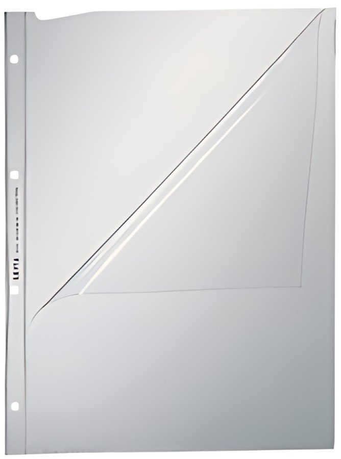 LEITZ Pochette perforée de présentation, A4, PVC, 0,08 mm