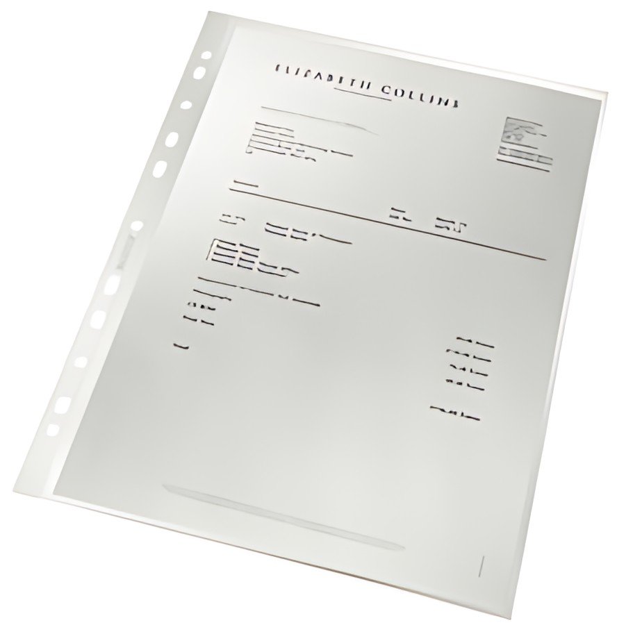 LEITZ Pochette perforée re:cycle, A4, résidu PP, 0,09 mm