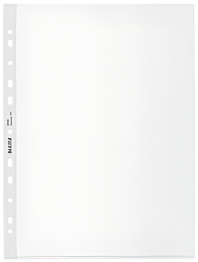 LEITZ Pochette perforée Recycle, A4, PP, grainé, 0,10 mm