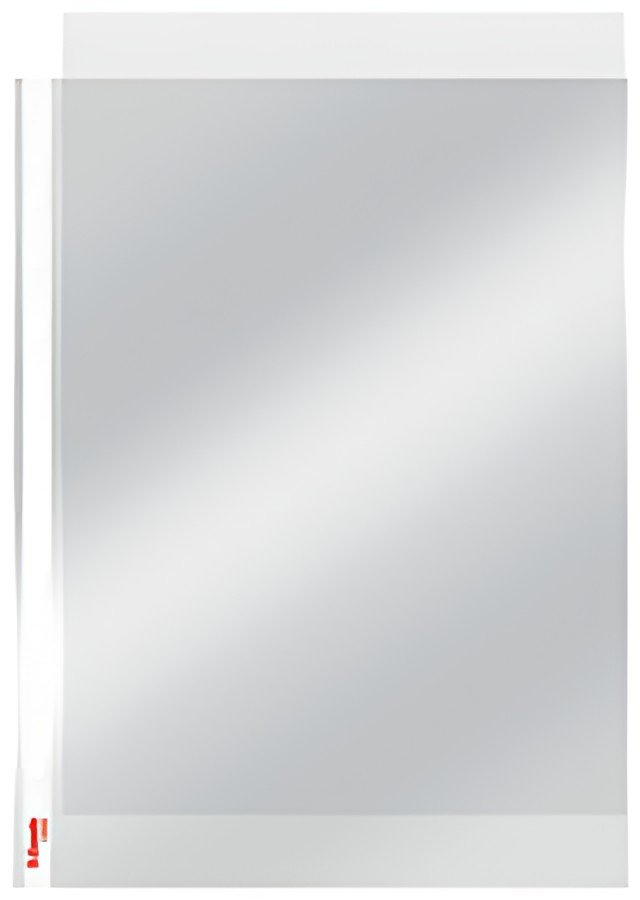 Esselte Pochette perforée Economy, A4, PP, transparent