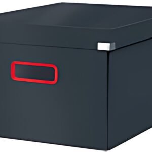 LEITZ Boîte de rangement Click & Store Cosy M, gris