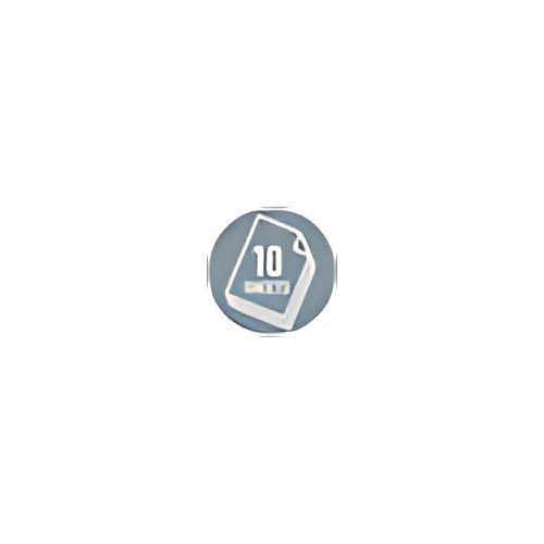 LEITZ Mini-agrafeuse 5517, capacité: 10 feuilles, noir