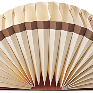 LEITZ Trieur éventail, A4, A-Z, 20 compartiments, marron
