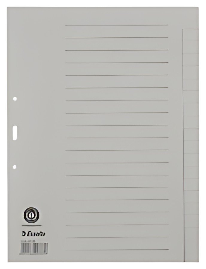 Esselte Intercalaires en papier naturel, uni, A4, 20 touches