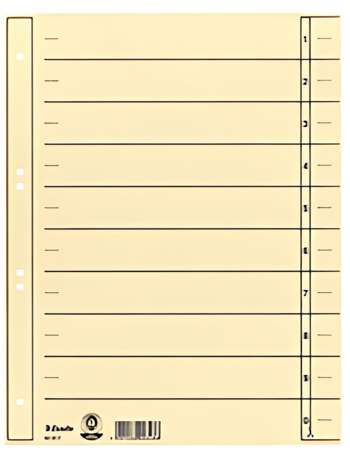 Esselte Intercalaires carton, A4 extra large, chamois