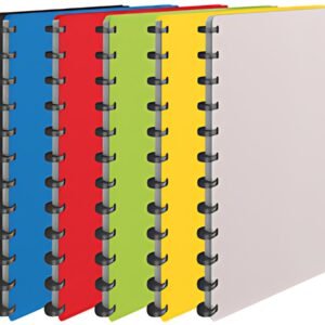 Esselte Protège-documents VIVIDA, A4, 25 pochettes, assorti