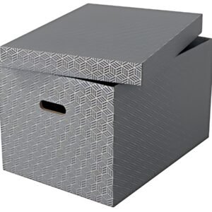 Esselte Boîte de rangement Home M, set de 3, gris